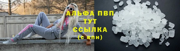 гидра Богородицк