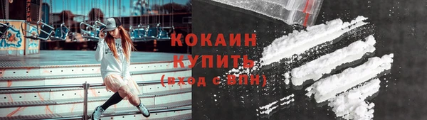 гидра Богородицк