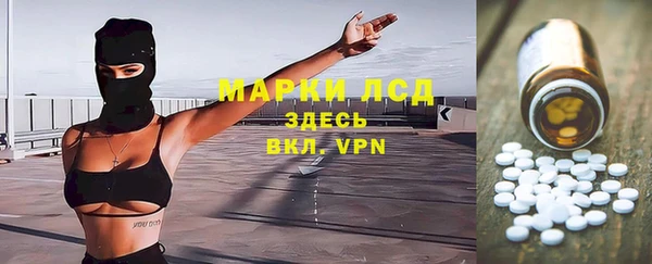 гидра Богородицк