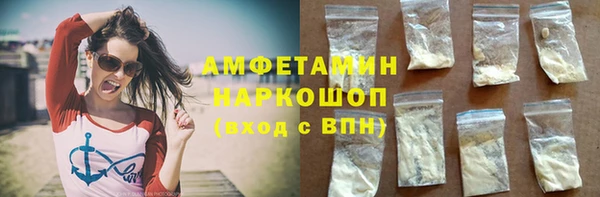 гидра Богородицк
