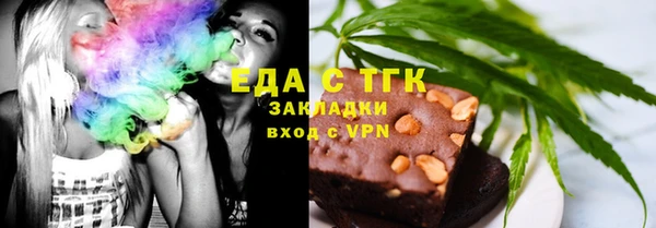 гидра Богородицк