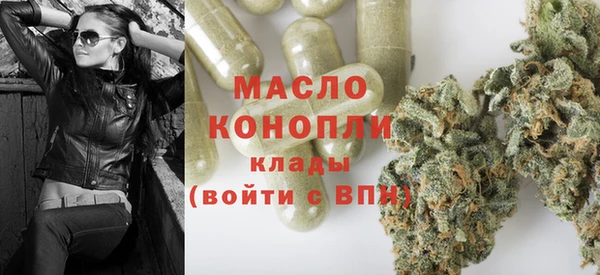 гидра Богородицк