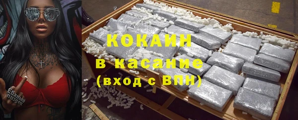 гидра Богородицк