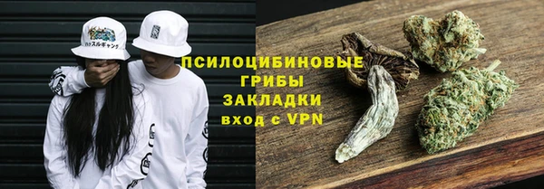 гидра Богородицк