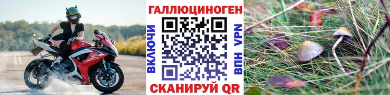 Галлюциногенные грибы прущие грибы  купить   гидра ссылки  Меленки 
